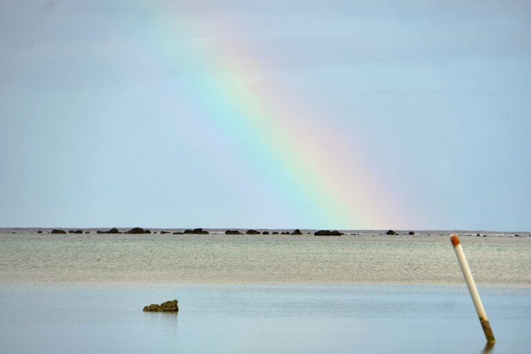 Rarotonga & the Cook Islands Weather in January