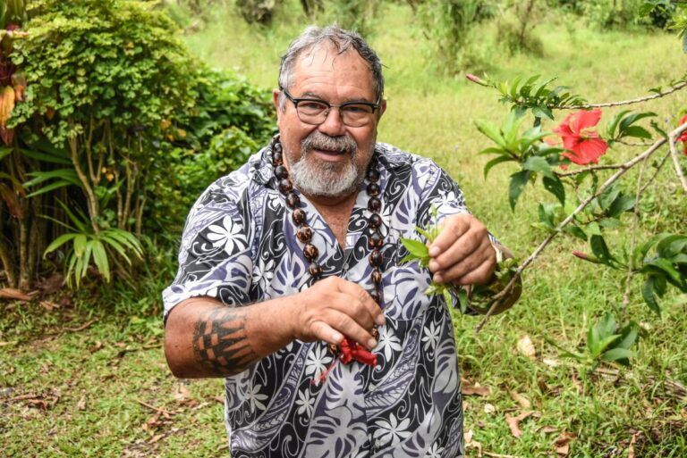 What is the Rarotonga & Cook Islands Language?