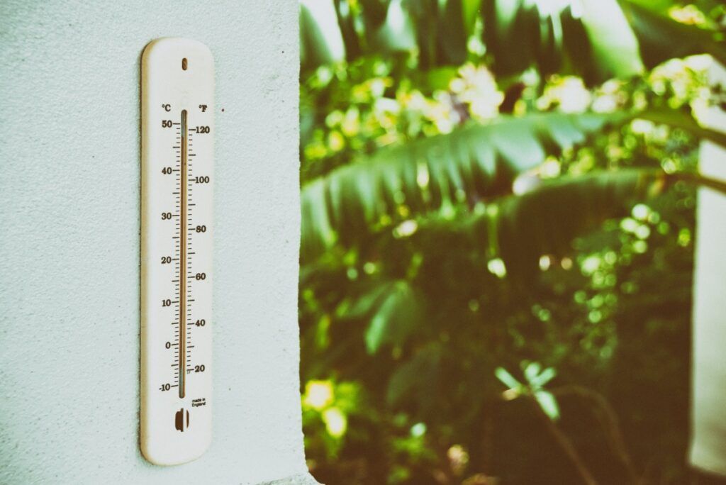 Rarotonga & the Cook Islands Weather in July