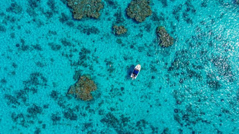 10 Best Lagoon Cruises on Aitutaki ⛵