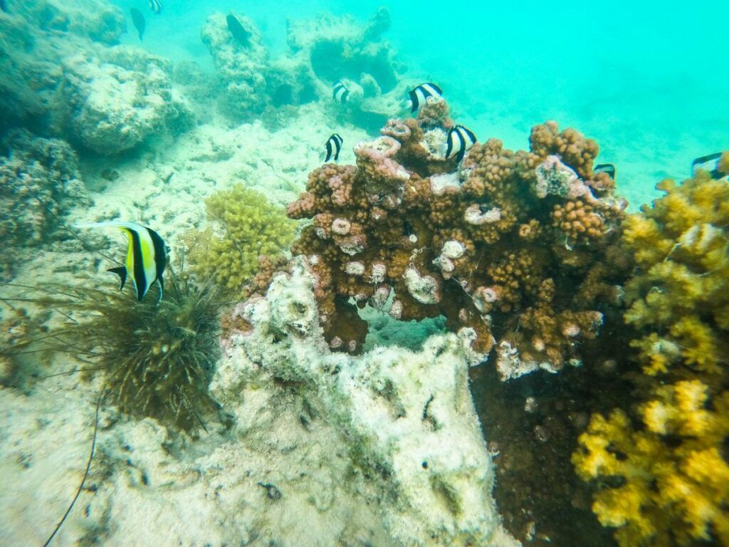 10 Adults-Only Activities on Aitutaki