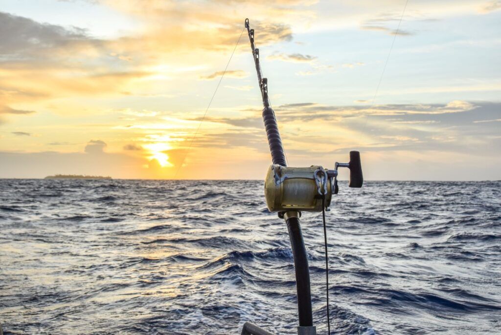 Fishing Aitutaki: 5 Best Fishing Charters on Aitutaki