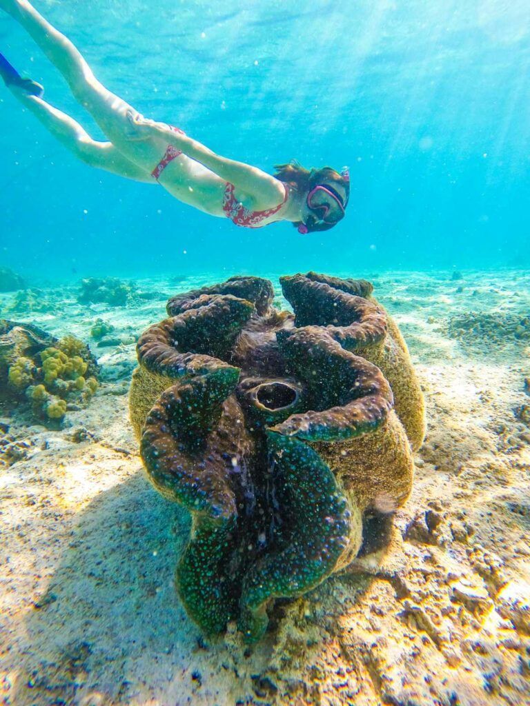 The Best Snorkelling in Aitutaki: Top 10 Places to Snorkel