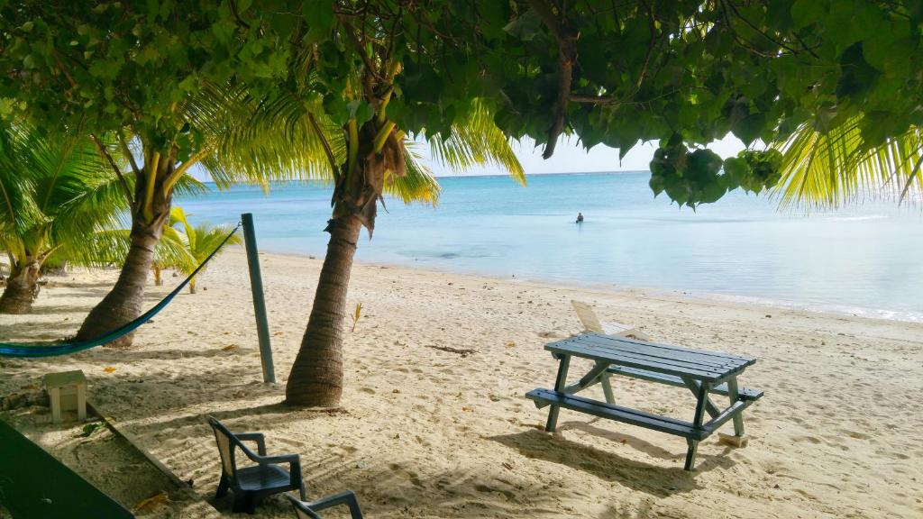 8 Best Budget Accommodations on Aitutaki [2022]