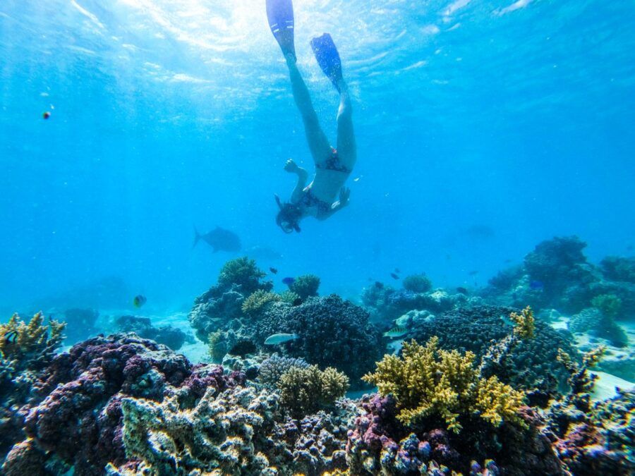 10 Best Snorkelling Tours in Aitutaki