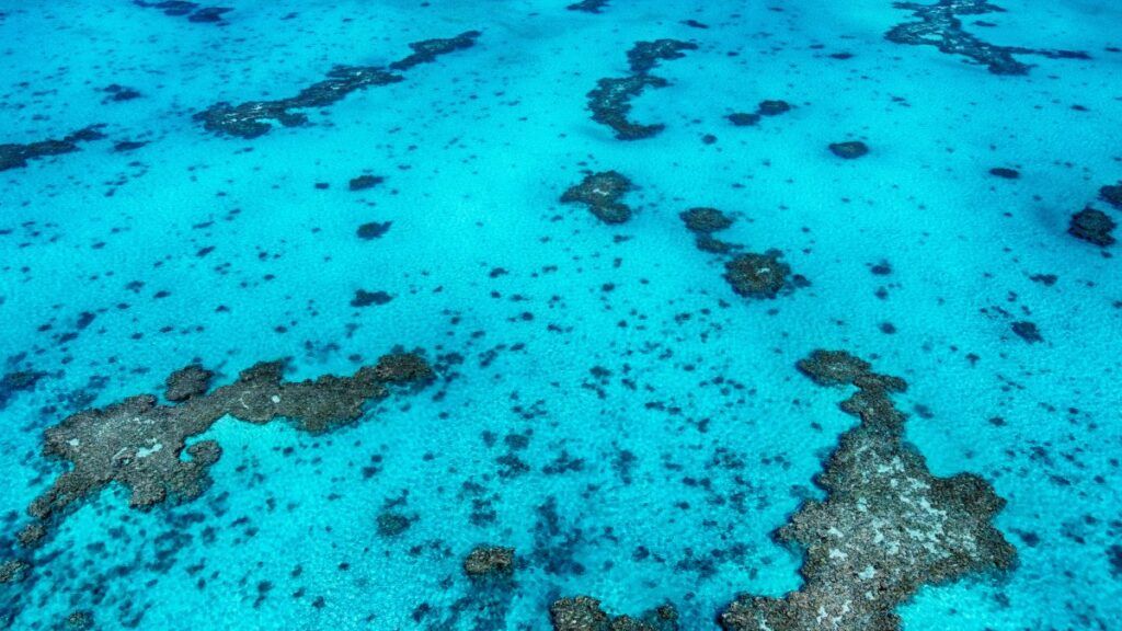10 Best Lagoon Cruises on Aitutaki ⛵