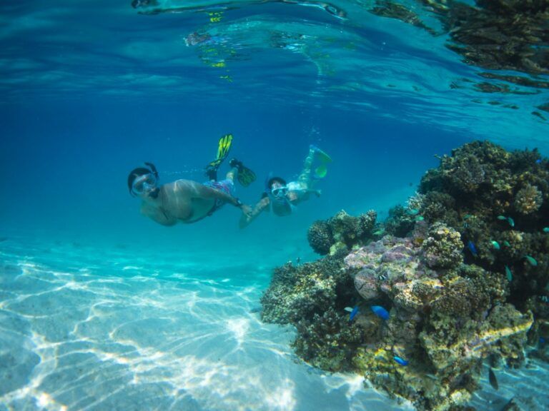 The Best Snorkelling in Aitutaki: Top 10 Places to Snorkel