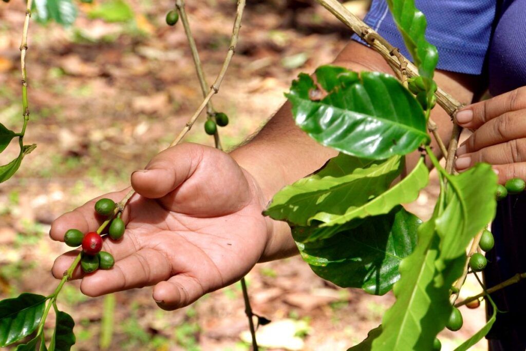 8 Most Romantic Things to Do on Atiu for Couples