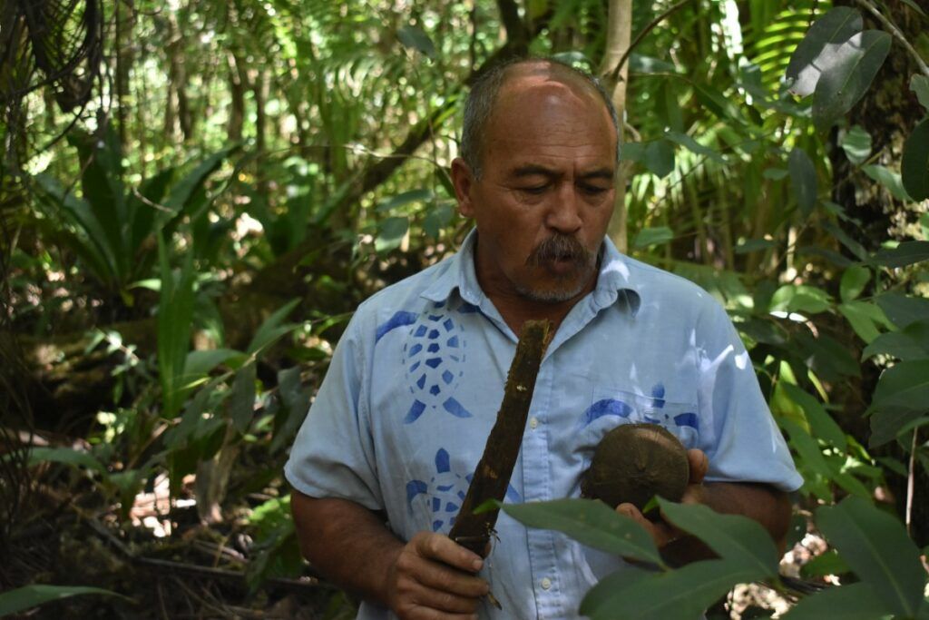 Mauke Transport Guide: 7 Ways to Get to (& Around) Mauke