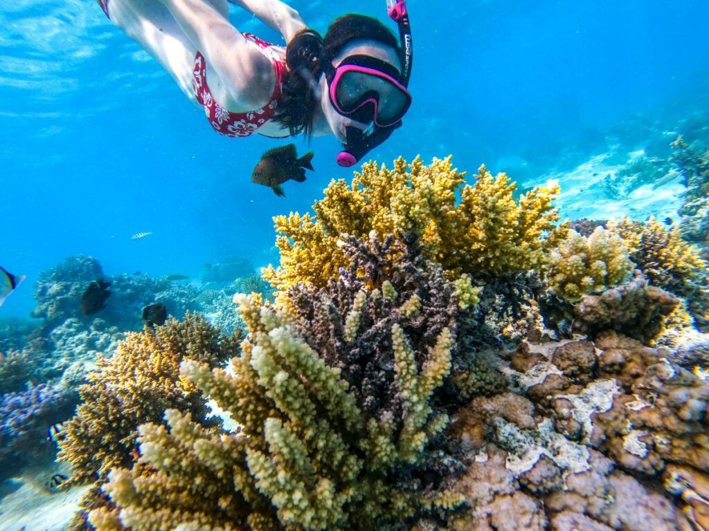 30 Things to Do on Rarotonga with Kids ???? [2023]