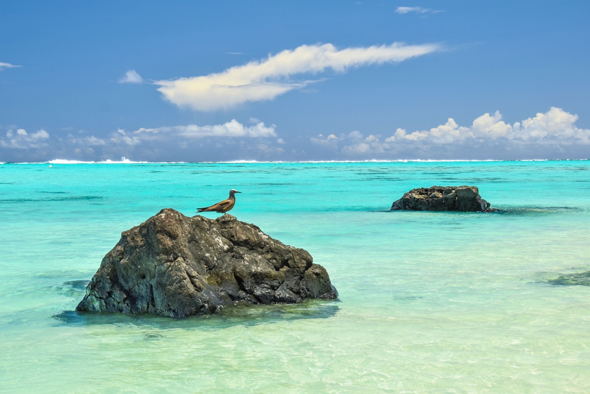 The Complete Travel Guide to Suwarrow