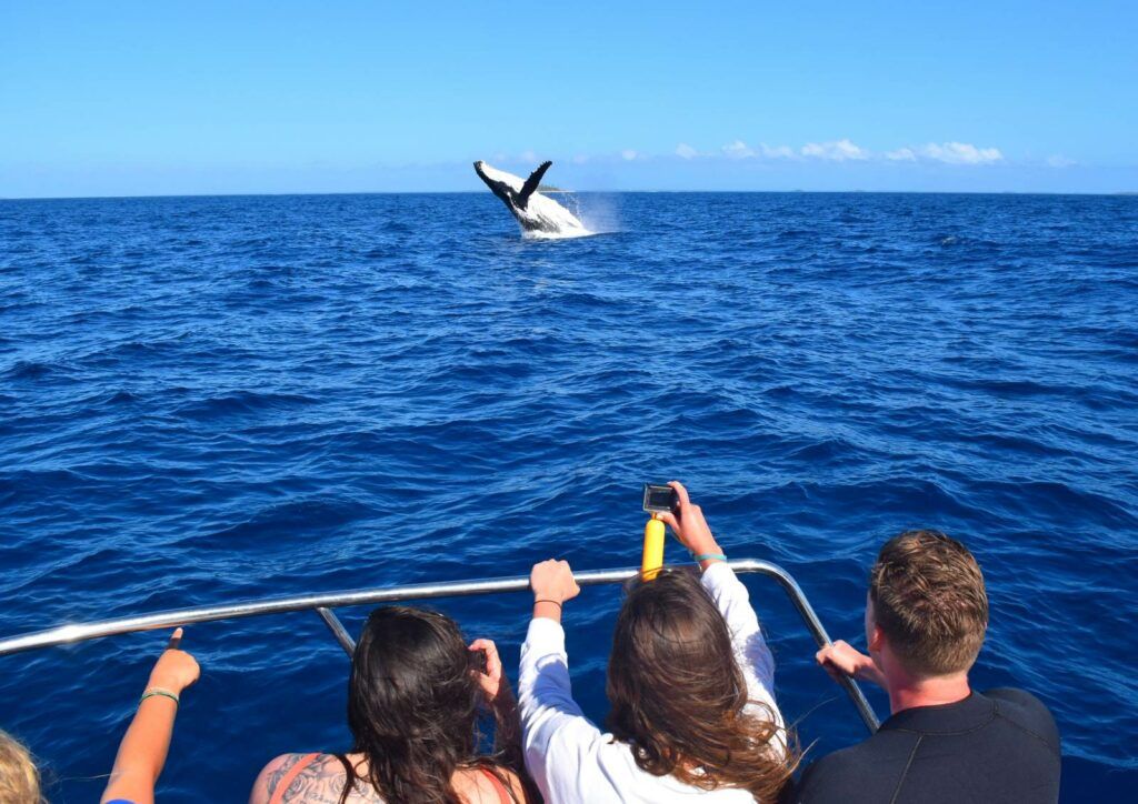 50 Best Things to Do on Rarotonga ???? [2023]