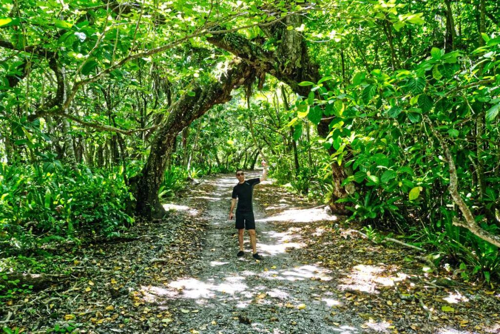 24 Best Things to Do on Atiu