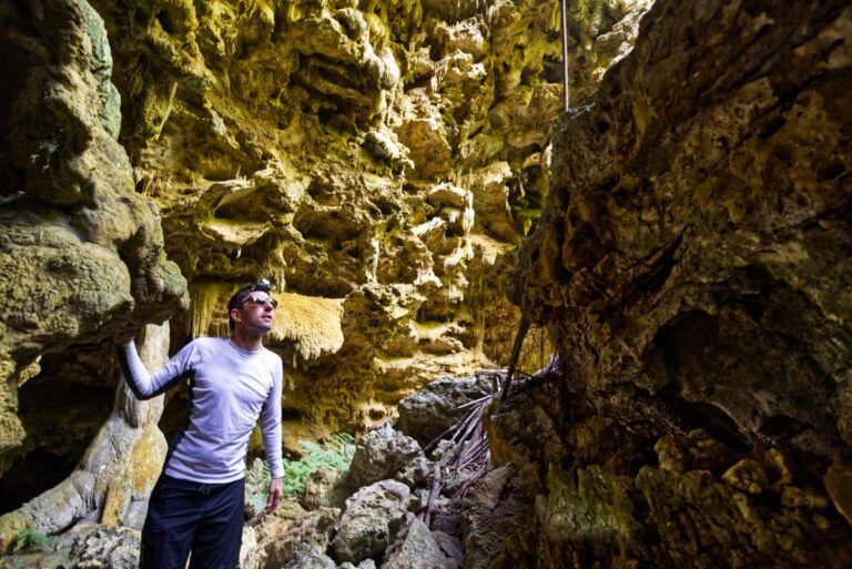 10 Best Caves in the Cook Islands 🦇