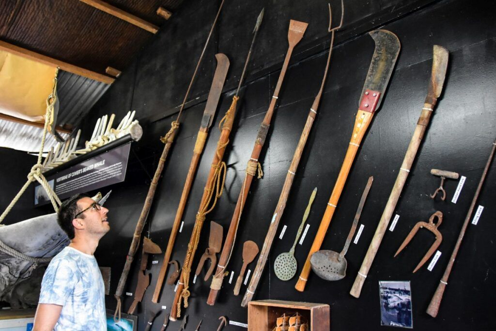 50 Best Things to Do on Rarotonga ???? [2023]