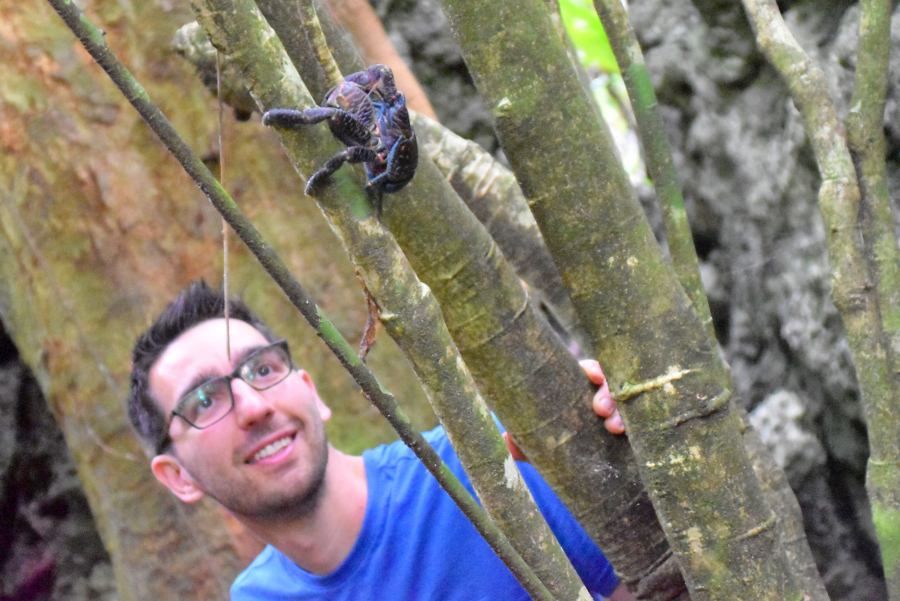 9 Best Caves on Mauke