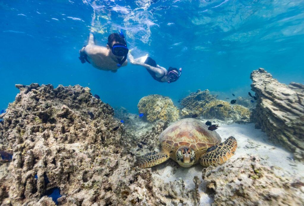 101 Best Things to Do in the Cook Islands: The Ultimate List [2023]