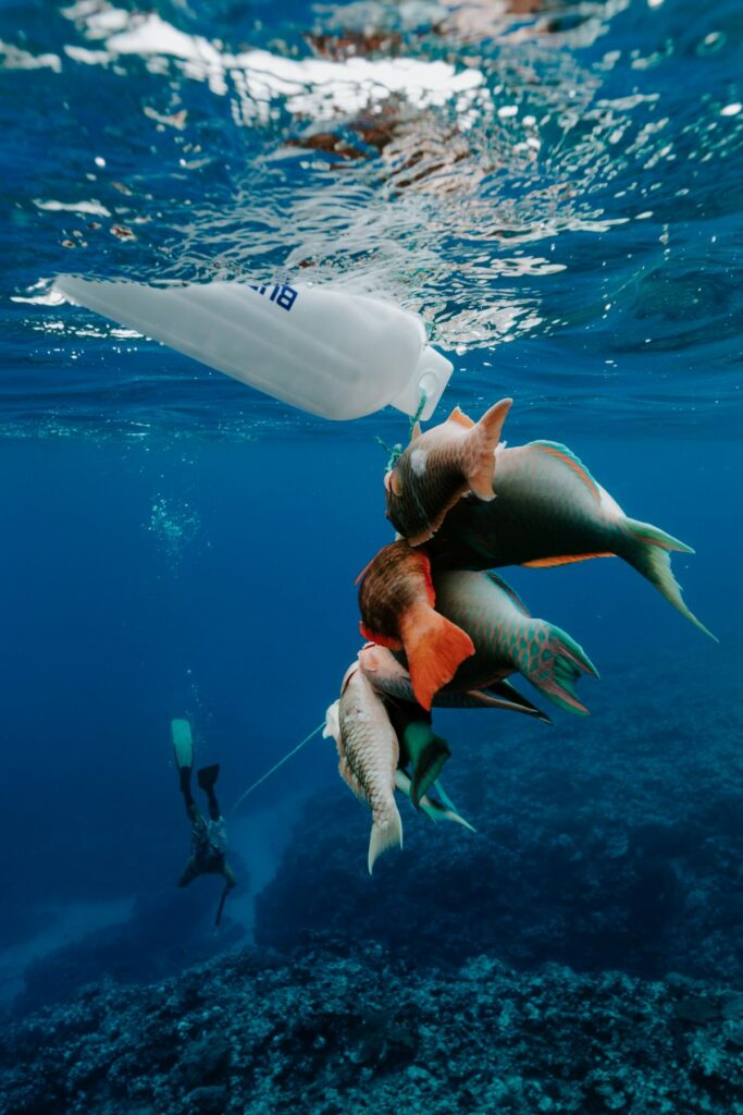 The Complete Guide to Spearfishing in Rarotonga & the Cook Islands