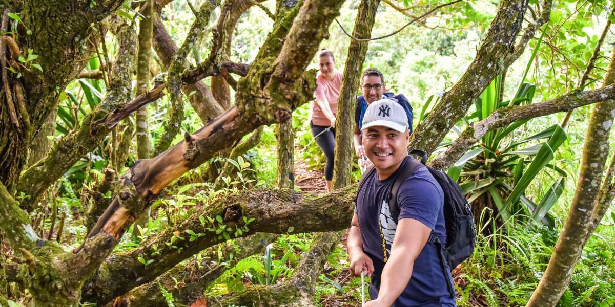 10 Best Walks on Rarotonga [2025]