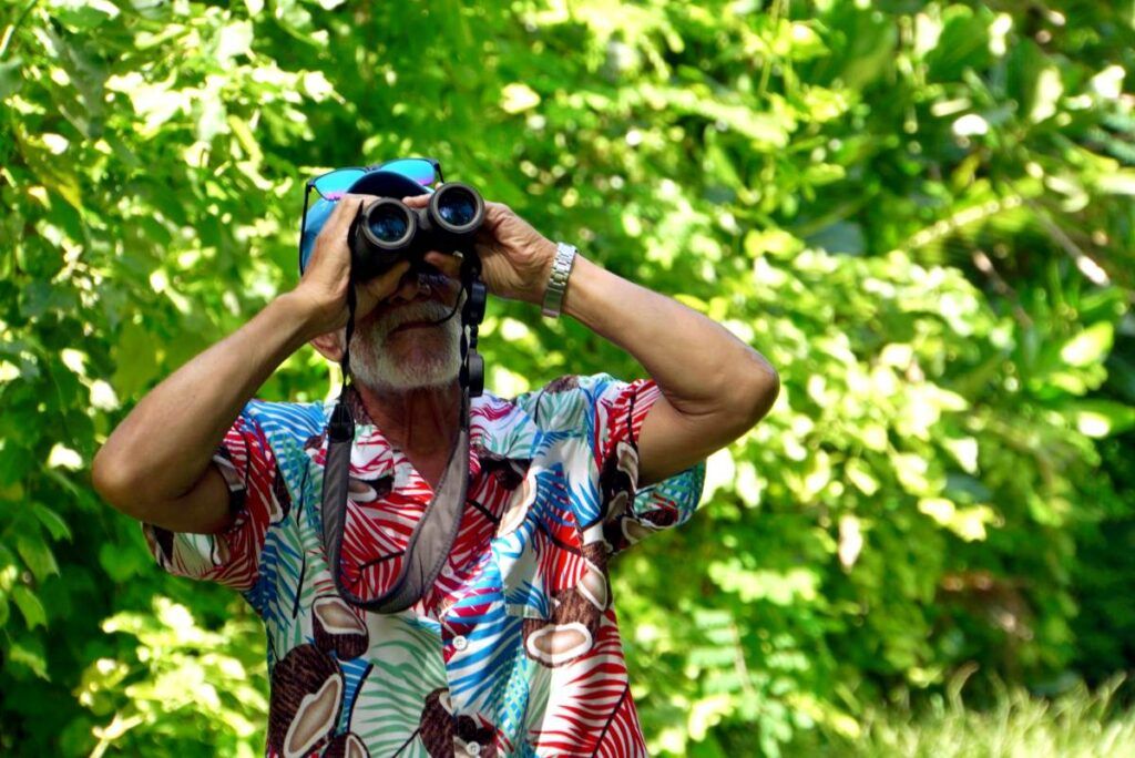 11 Best Nature & Wildlife Tours in Rarotonga & the Cook Islands [2025]