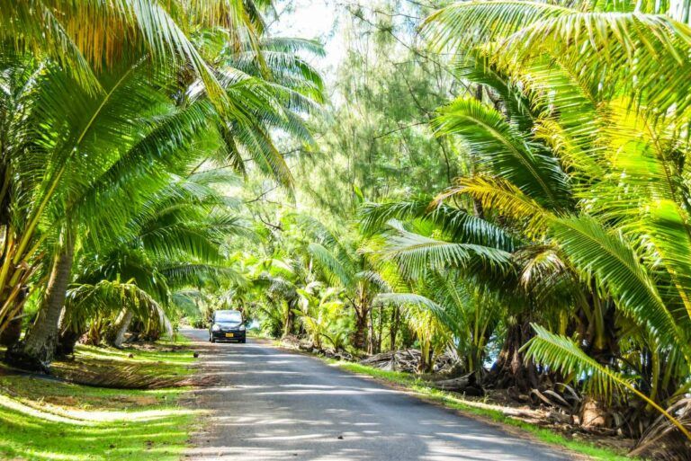 How to Drive in Rarotonga & the Cook Islands + 10 Road Rules ⛔
