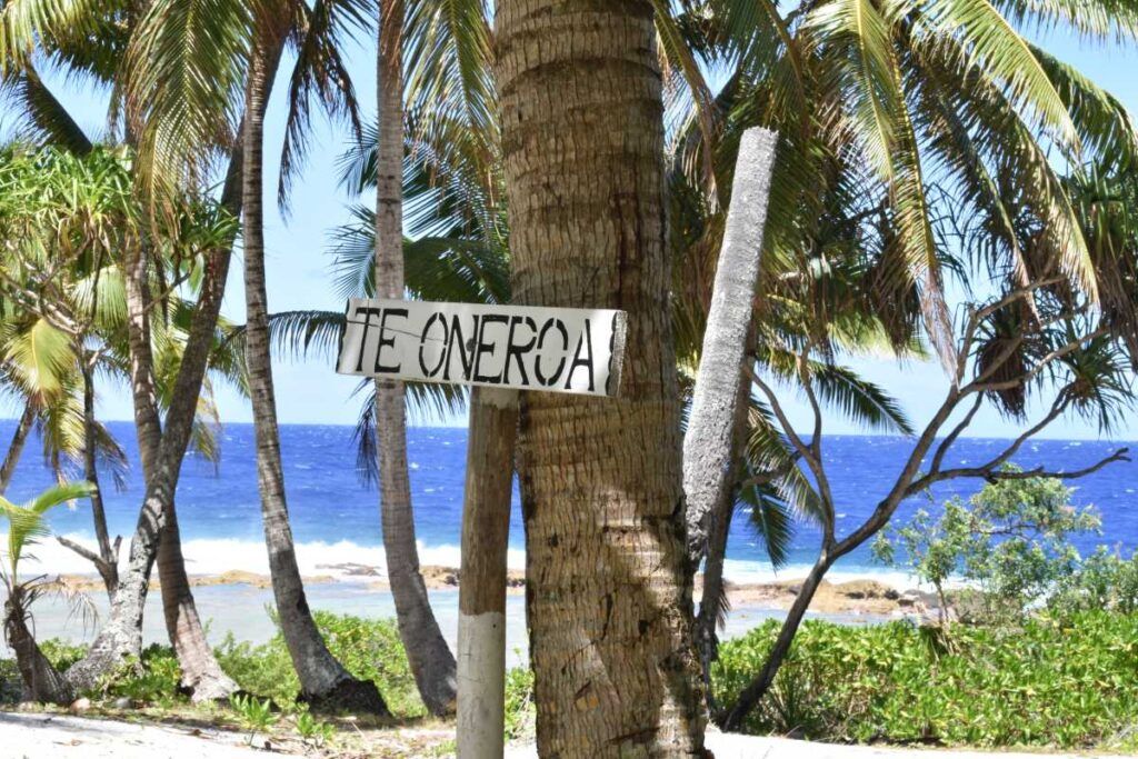 10 Best Places for Whale Watching in Rarotonga & the Cook Islands