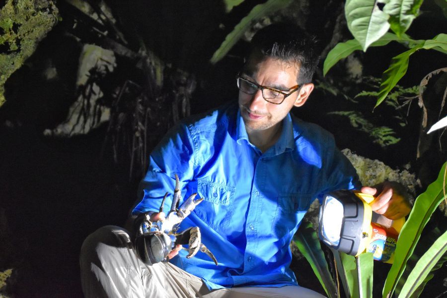 10 Things to Do in Rarotonga & the Cook Islands at Night ????