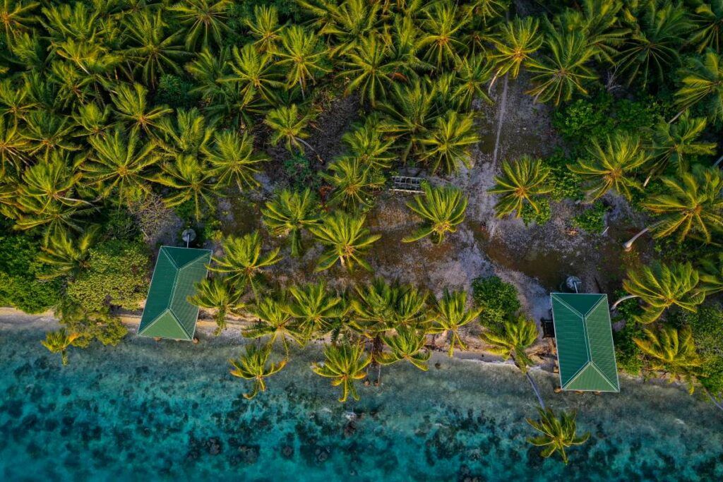 The Top 50 Resorts in the Cook Islands ???? [2023]