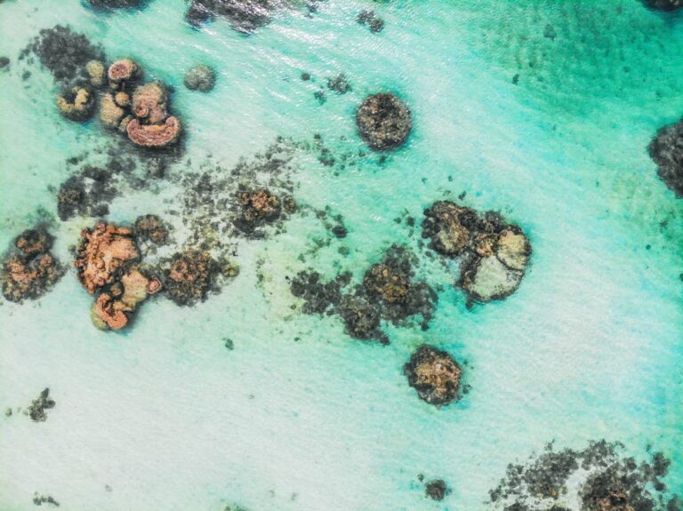 The Top 10 Natural Wonders in Rarotonga & the Cook Islands 🌏
