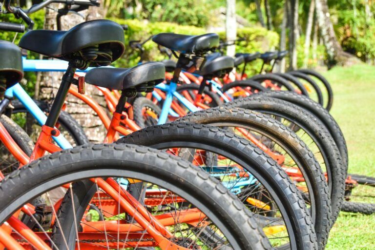 Cycle Rarotonga & the Cook Islands: Where to Rent Bikes & E-Bikes