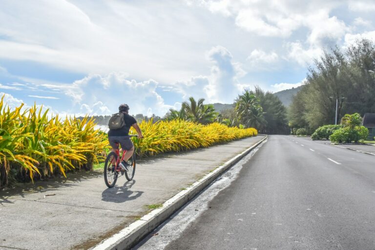 5 Best Bike Tours in Rarotonga & the Cook Islands 🚴‍♀️ [2023]