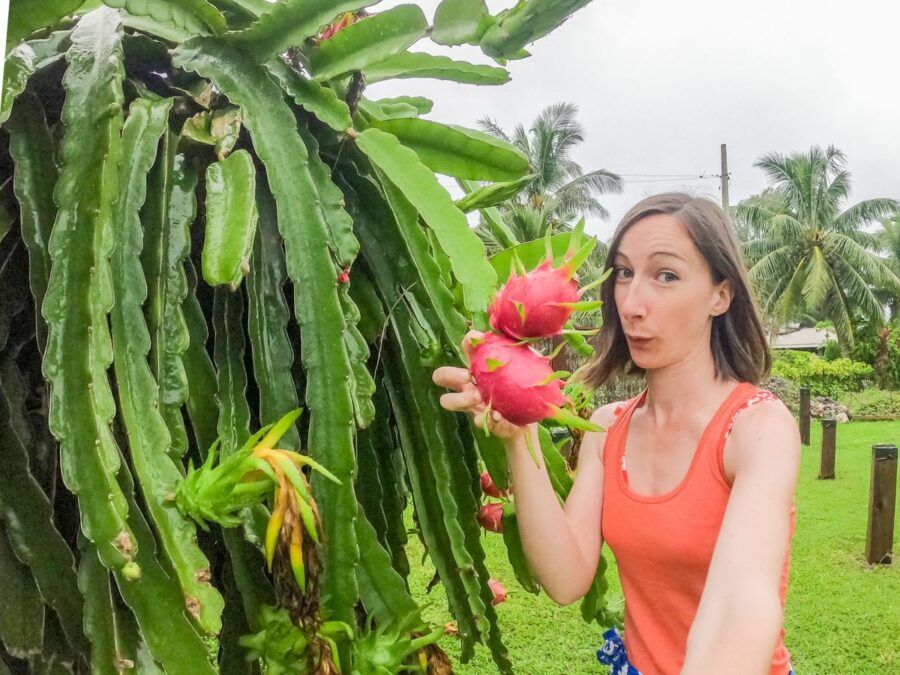 15 Exotic Fruits in Rarotonga & the Cook Islands You HAVE to Try!