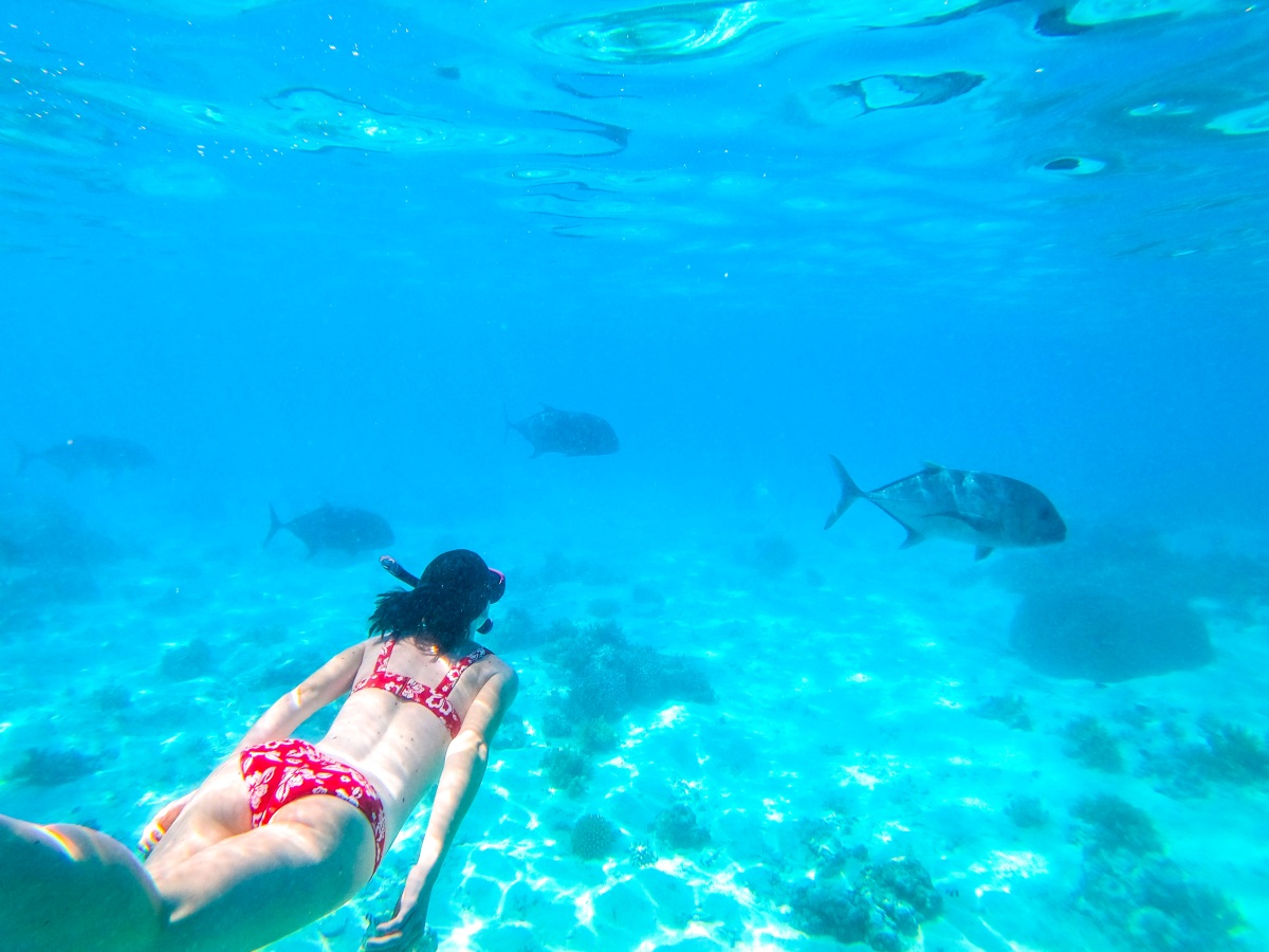 The Best Snorkelling in the Cook Islands: Top 10 Places to Snorkel