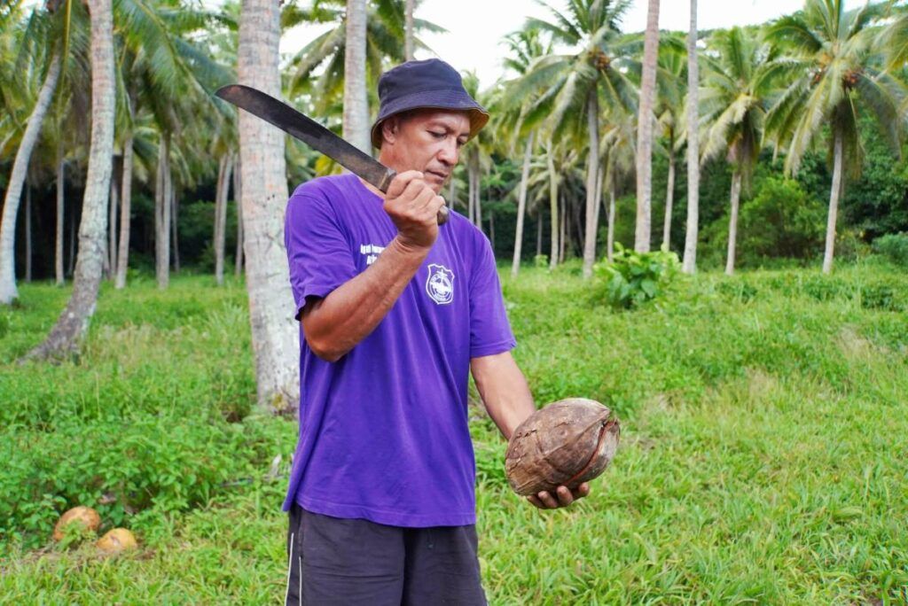 15 Exotic Fruits in Rarotonga & the Cook Islands You HAVE to Try!