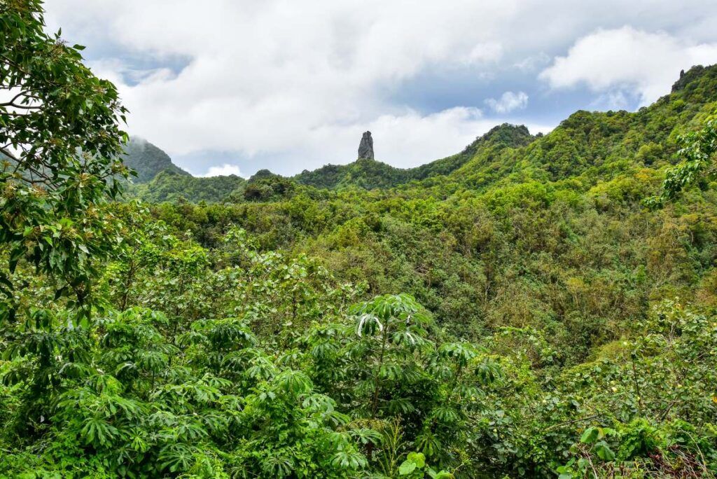 10 Best Walks & Hikes in the Cook Islands
