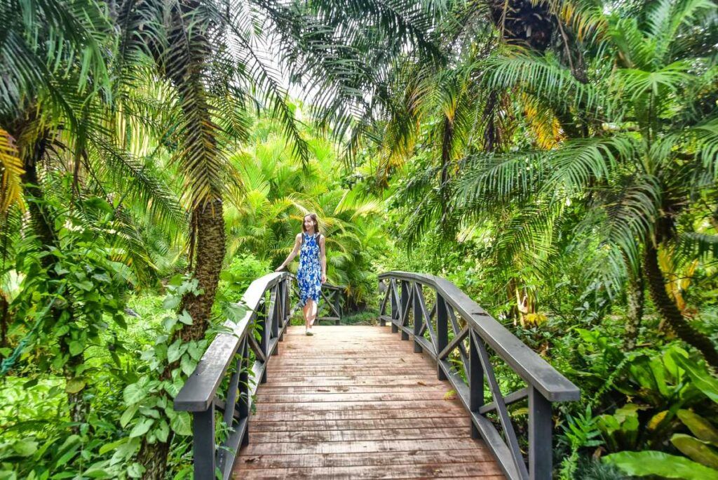 101 Best Things to Do in the Cook Islands: The Ultimate List [2023]