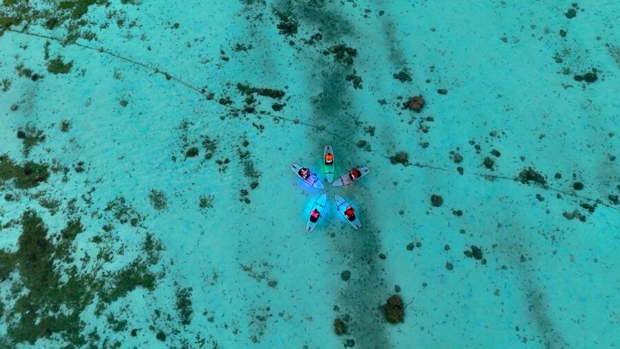 6 Best Paddleboard Tours & Hires in Rarotonga & the Cook Islands