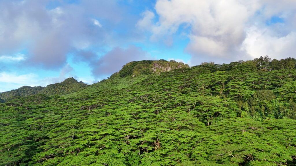 10 Best Walks on Rarotonga [2025]