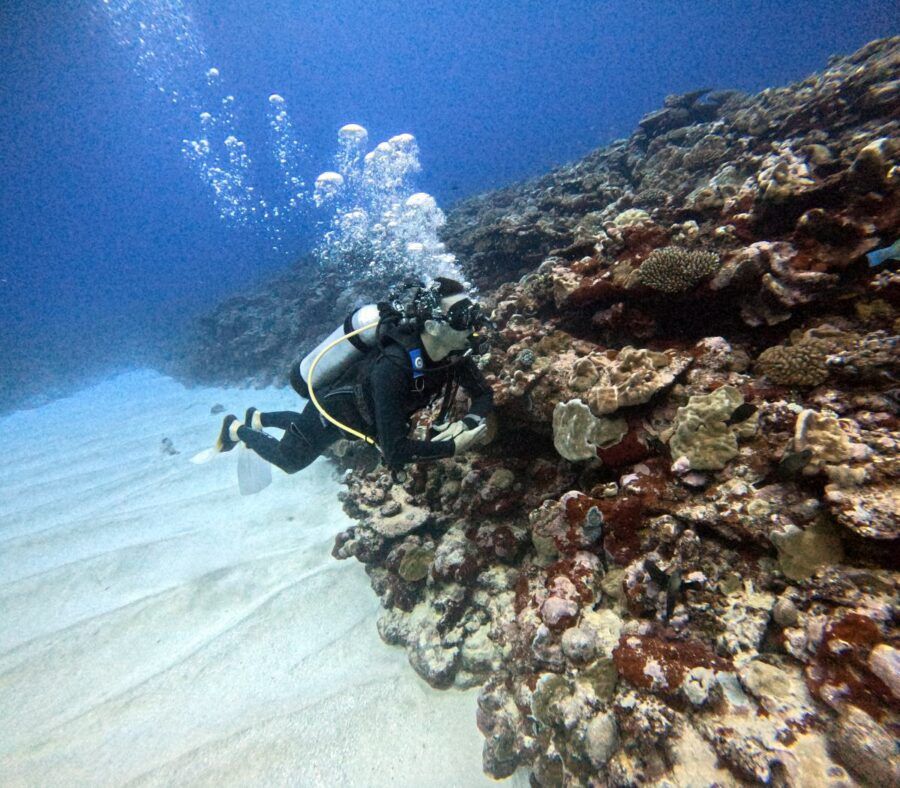 The Best Scuba Diving in the Cook Islands: Top 10 Places to Scuba Dive