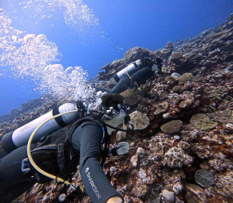 The Best Time to Dive in Rarotonga & the Cook Islands