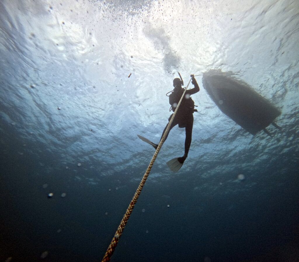 The Best Scuba Diving in Rarotonga: Top 25 Places to Scuba Dive