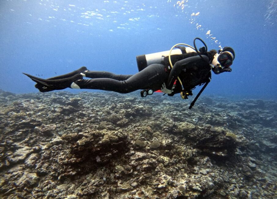 Learn to Dive in the Cook Islands: A Guide to Scuba Diving Certifications