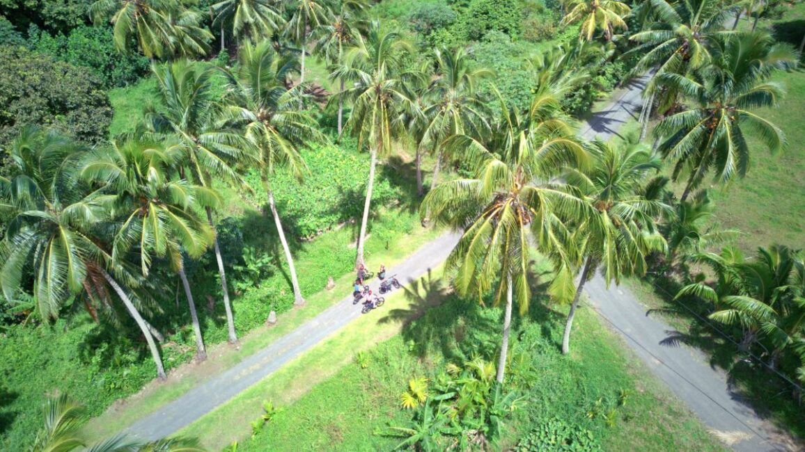 The Ultimate Guide to Mountain Biking in Rarotonga & the Cook Islands
