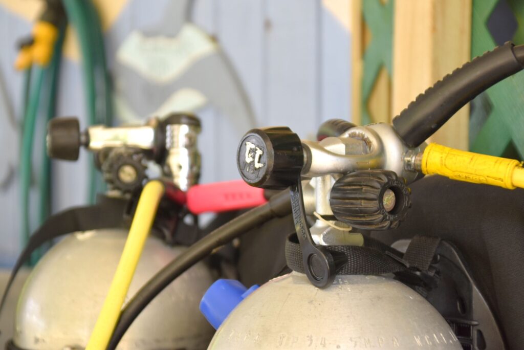 The Best Time to Dive in Rarotonga & the Cook Islands