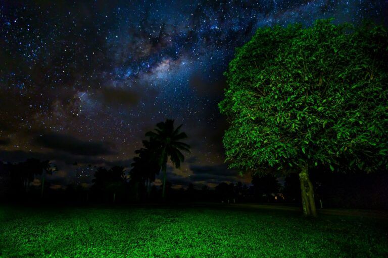 5 Best Spots for Stargazing in Rarotonga & the Cook Islands ⭐