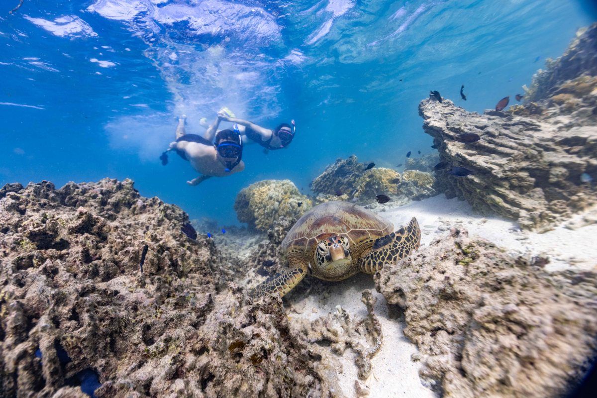 The Best Rarotonga & Cook Islands Itineraries for 3 Days [2023]