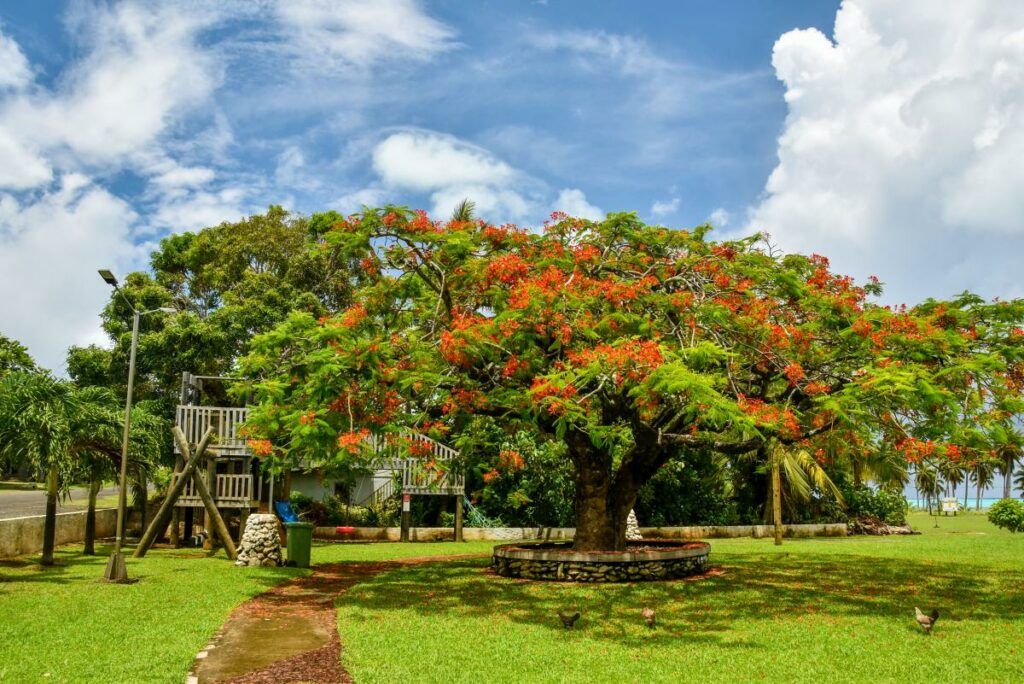 Rarotonga & Cook Islands Family Itinerary: 14 Days / 2 Weeks ????