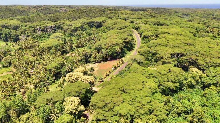 A Self-Guided Day Trip Around Atiu: One Day Itinerary