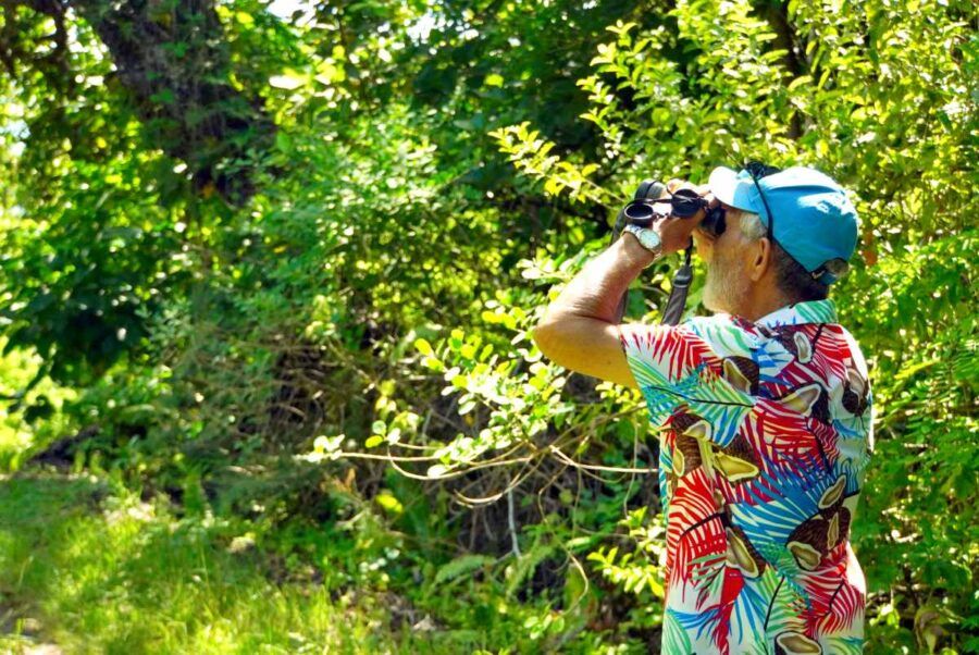 The Guide to Ecotourism in Rarotonga & the Cook Islands