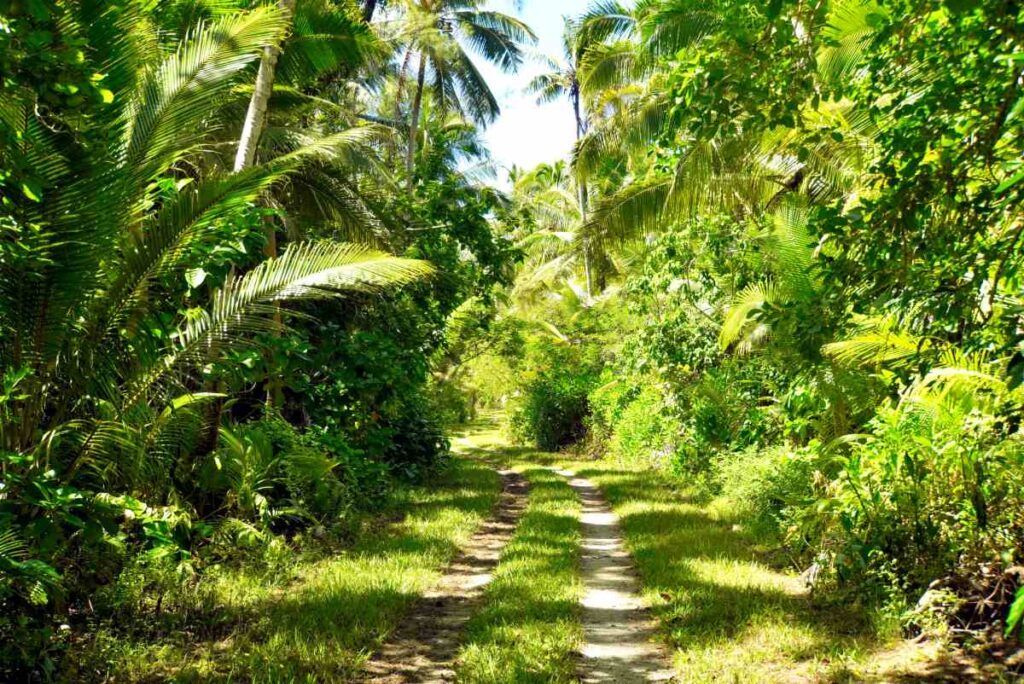 The Cycling Times & Distances in Rarotonga & the Cook Islands